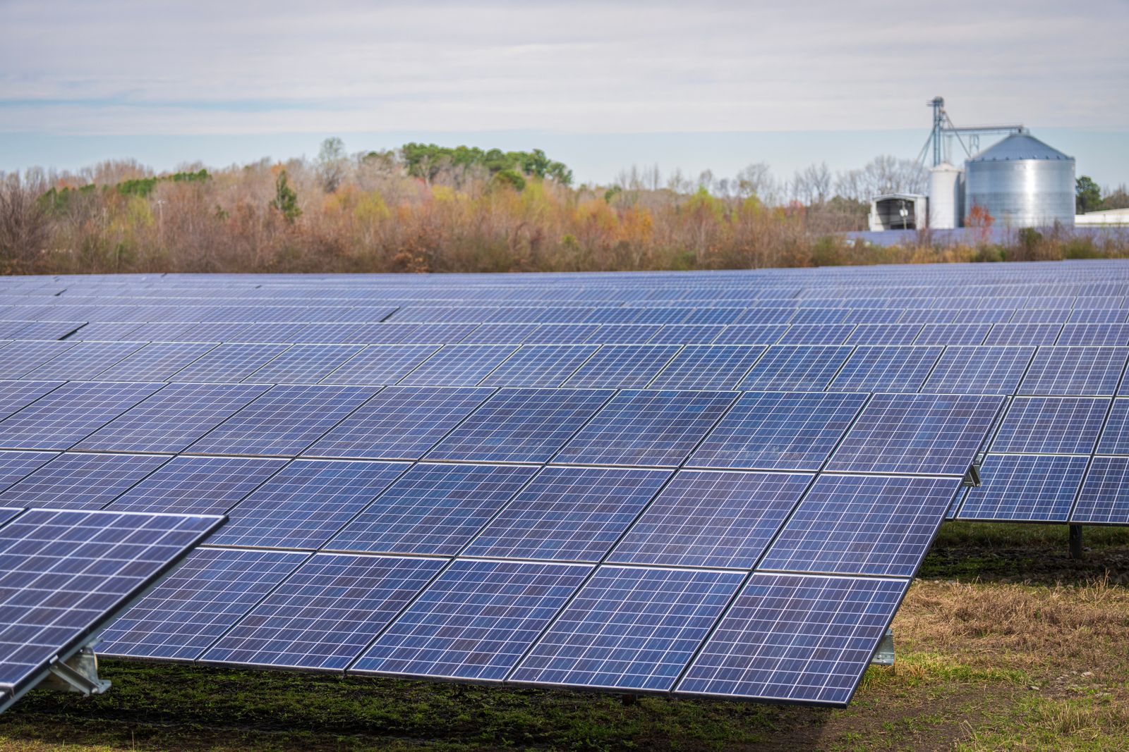 A field of solar modules at a community solar garden